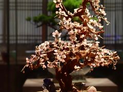 -南京博物院