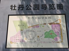 -洛阳市牡丹公园