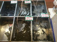 -御唐府海珊瑚主题餐厅