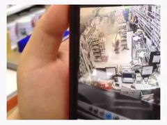 盛京一禾-盛京一禾