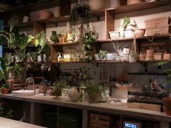 -自由生长植物工作室(深港花卉中心店)