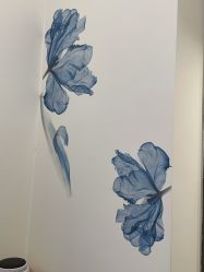 -DEM缔怡美科技美容
