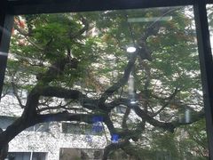 -厦门市少年儿童图书馆(中山公园馆)