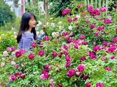 -人民公园(罗湖区)