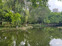 -望江楼公园