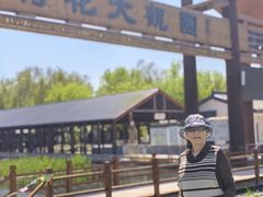 -白洋淀景区
