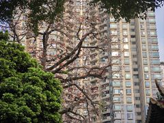 -荔湾区儿童公园