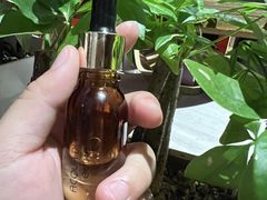 -西双版纳融创皇冠假日度假酒店