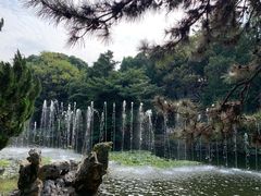 -叶家花园