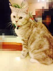 -TWOFACE双面理发馆