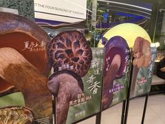 -芸山季·云南山珍菌火锅(南翔印象城MEGA店)