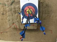 -道顺射箭·团建·骑射(张杨路店)
