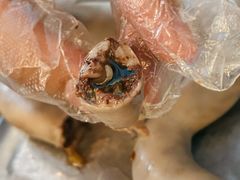 -诺敏塔拉奶茶-布里亚特包子-手把肉(锦都会店)