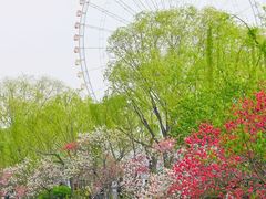 -无锡蠡湖国家湿地公园-蠡园
