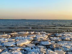 -金梦海湾浴场