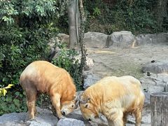 -宁波野生动物园