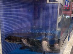 -香山湖渔家大院