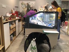 -歎雪糕低糖低脂Gelato冰淇淋