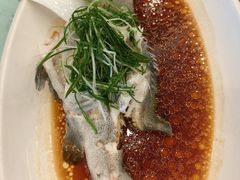-新金盛·海鲜酒楼(盐田店)