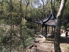 -虞山风景区