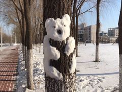 -东北农业大学