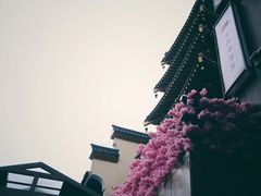 -宽口美蛙鱼头(大唐西市店)