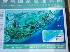 -上海吴淞炮台湾国家湿地公园