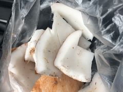 -东郊椰林
