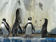 -太平洋海底世界