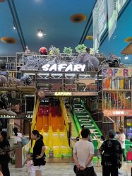 -卡通尼·Safari非洲探索乐园·生日会(金桥国际商业广场店)