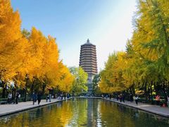 -玲珑塔公园