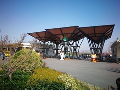 -上海长兴岛郊野公园