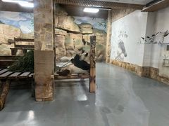 -无锡动物园·太湖欢乐园