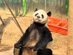 -栾川竹海野生动物园