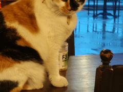 -BUND·FIVE外滩5号(天际店)