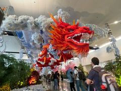 -河内内排国际机场