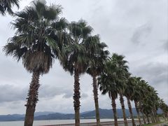 -东钱湖旅游度假区