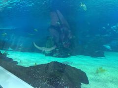金鹰海洋世界-常州海昌海洋探索馆