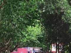 -大连理工大学(凌水校区)