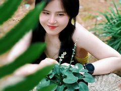 -素山寺森林公园