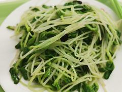 蒜蓉豆苗-北大家园食堂