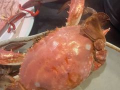 -蓝珊甄选海鲜自助·火锅大排档(近阿那亚店)