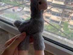 -天津大学爱尔眼科医院(天津总院)