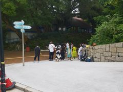 -九龙公园