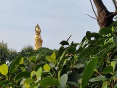 -广州莲花山旅游区
