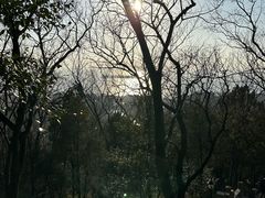 -狼山风景名胜区