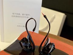 -BLACKSWAN黑天鹅(环球店)