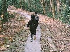 -西湖风景区十里琅珰-五云山