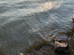 -捞渔河湿地公园