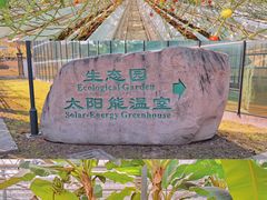 -上海鲜花港